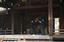 靖国神社演武